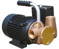 Xylem Jabsco 110 V Centrifugal Water Pump, 80L/min