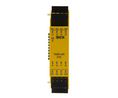 Input and Output Module