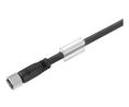 Cordset, M8 Socket - Bare End, 3 Conductors, 5m, IP68 / IP67 / IP66 / IP65, Black