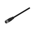 Cable Assembly, Zinc Alloy, M12 Socket - Bare End, 5 Conductors, 2m, IP67, Straight, Black