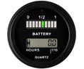 RL Series Series Digital Voltmeter DC, LCD, LED Display
