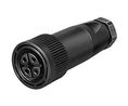 Festo NTSD Plug, 18493