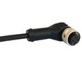 Cordset, M12 Socket - Bare End, 12 Conductors, 1m, IP67, Black