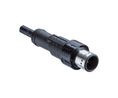 Kabelsatz, M12-Stecker - Offene Enden, 12 Leiter, 1m, IP68, Schwarz