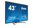 Monitor, ProLite, 43" (109.2 cm), 3840 x 2160, VA, 16:9