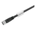 Cordset, M8 Socket - Bare End, 3 Conductors, 10m, IP68 / IP67 / IP66 / IP65, Black