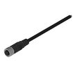 Cable Assembly, Zinc Alloy, M12 Socket - Bare End, 8 Conductors, 2m, IP67, Straight, Black
