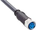 SICK Straight Female 4 way M8 to Connector & Cable, 3m Ledare
