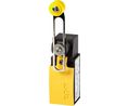 Limit Switch, Adjustable Roller Lever, Metal, 1NC / 1NO, Snap Action