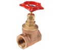 Gate Valve, 1in