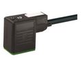 Murrelektronik Limited DIN 43650 Connector