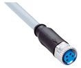 Kabelsatz, M8-Buchse - Offene Enden, 4 Leiter, 5m, IP67, Grau