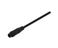 Cable Assembly, Polyamide 6.6, M12 Plug - Bare End, 8 Conductors, 2m, IP67, Straight, Black