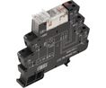 Relay Module 2CO DC 24V 8A Screw Terminal TERMSERIES