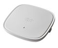 Access Point, 5.38Gbps, 802.11a/b/g/n/ac/ax