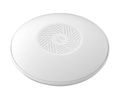 Wireless Access Point 300Mbps IP30