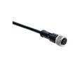 Cordset, M12 Socket - Bare End, 8 Conductors, 2m, IP68 / IP69K, Black