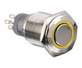 Pushbutton Switch, Vandal Proof, Amber, 2CO, IP67, Momentary Function