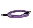 Phoenix Contact Straight Male 5 way M12 to Straight Female 5 way M12 Bus Cable, 2m Ledare