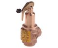 Nabic Valve Safety Products 3bar Pressure Relief Valve With Female BSP 1/2 in BSP Female Connection and a BSP 1/2