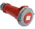AM-TOP IP67 Red Cable Mount 4P Industrial Power Socket, Rated At 32A, 400 ... 440 V