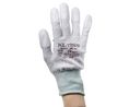 Protective Gloves, Pack of 10 pieces