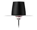Cellular Antenna, Olympian, 5G / 4G / 3G / 2G, IP67, 1.5 dBi, Male SMA, Screw