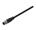 Cable Assembly, Zinc Alloy, M12 Plug - Bare End, 5 Conductors, 2m, IP67, Straight, Black