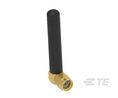 2487805-1 RFID Antenna with SMA Connector, 5G