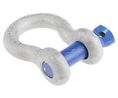 Bow Shackle, Alloy Steel, 6.5t, Screw Pin, Alloy Steel