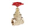 Gate Valve, 1in