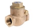 Bronze Single Check Valve, BSPT 3/4in, 20 bar
