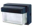 Thorlux Lighting Rectangular LED Bulkhead Light, 24 W, Lamp Supplied, IP65