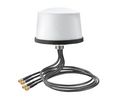Mobilfunkantenne, 2G / 3G / 4G / 5G / Wi-Fi 6, IP67, 4 dBi, RP-SMA male / SMA male, Wandmontage