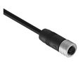 Cable Assembly, Brass, M12 Socket - Bare End, 4 Conductors, 2m, IP67, Straight, Black