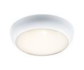 Ansell Lighting Oval LED Bulkhead Light, 16 W, 240 V, IP65, Disco EVO 2