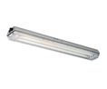 Light Fixture