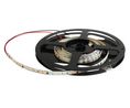 Led-strip, ILP, 5m, 24V, 60.5W, Wit