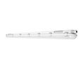 Light Fixture Cool White