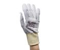 Protective Gloves, Pack of 10 pieces