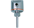 Flow Monitor Gas / Liquid 30bar 10% 36V Plug, M12 IP67