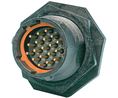 Panel Mount Plug, Plug, 19 Contacts, 5A, 32V, IP68 / IP69K