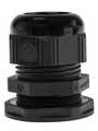 Image not found